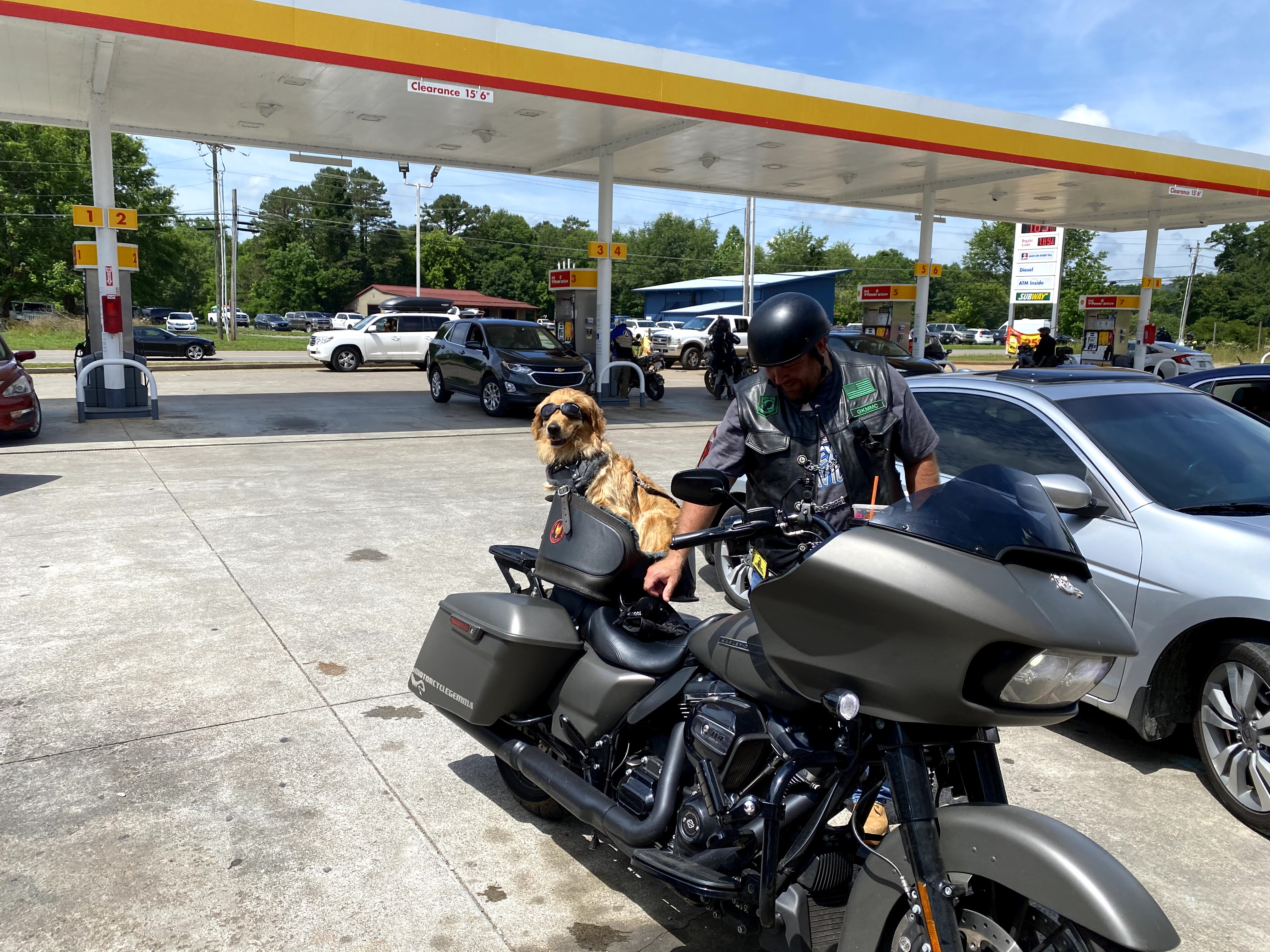 Cool Dog on a Motorcycle with Shades